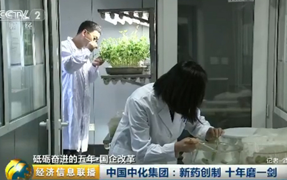 中化集團：新藥創制 十年磨一劍